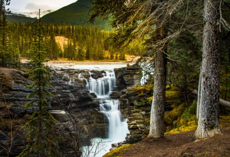 DSC_6311-1.jpg