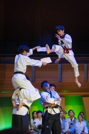 Hign-kick.JPG