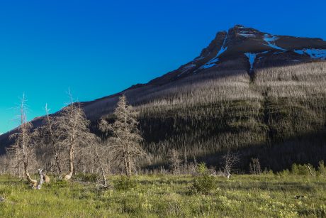 IMG_0432.jpg