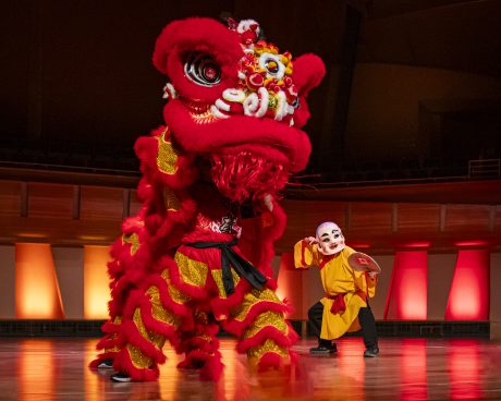 Lion-dance-on-stage.JPG