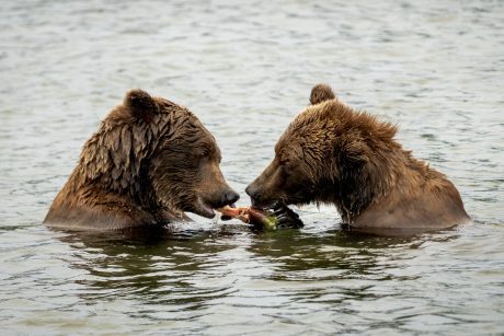 Brotherly-love.jpg