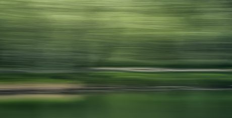 Verdant-Drift.jpg
