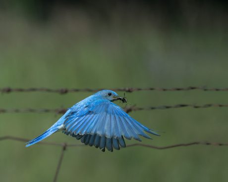 feeding-time.jpg