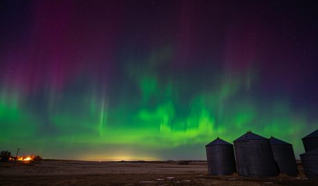 3rd Place, Prairie Lights, Douglas Yuen