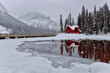 1st Place, Cold Enough for You, Laurence Cheung