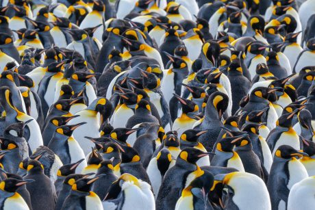 Group-Photo.jpg