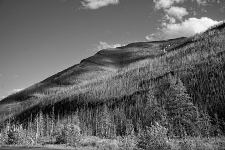 Landscape-in-BW.jpg