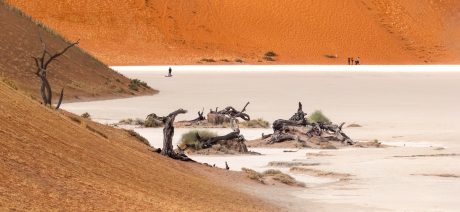 3rd Place, Remnants of the past, Stella Lam