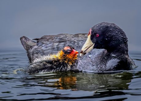 1st Place, Quality Time, Stella Lam