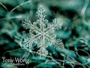 Snowflake