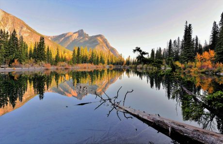 Good-Morning-2.jpg