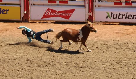 IMG_9878_edited.jpg