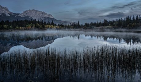 Morning-Stillness.jpg