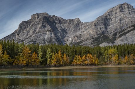 at-Wedge-Pond.JPG