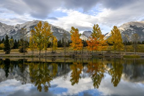 fall-colors.JPG