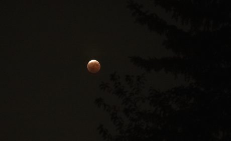 lunar_eclipse.jpg